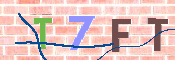 キャプチャ画像