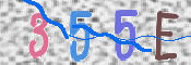 キャプチャ画像
