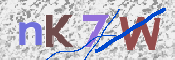 キャプチャ画像